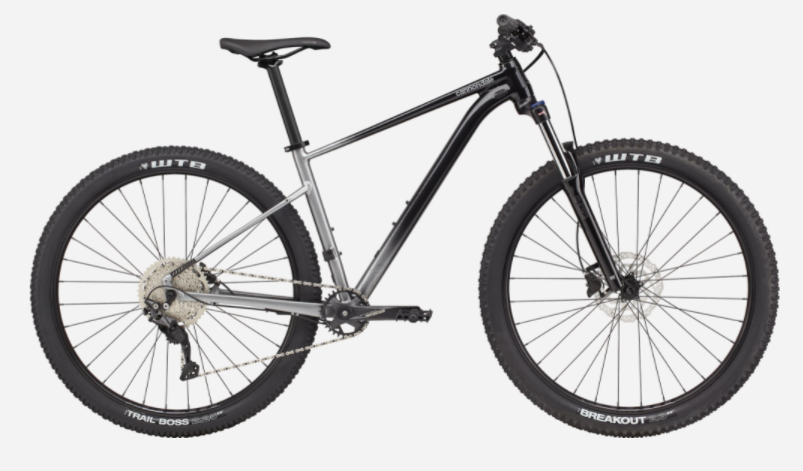 Cannondale Trail SE 4 - Grey, Large