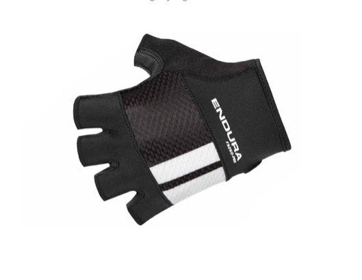Endura FS260-Pro Aerogel Mitt